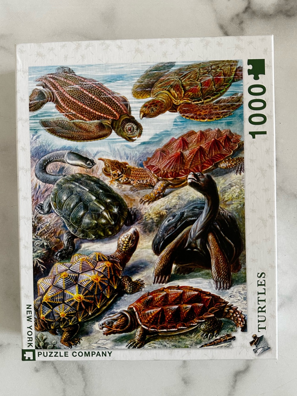 New York Puzzle Company - Turtles 1000 Piece Jigsaw Puzzle